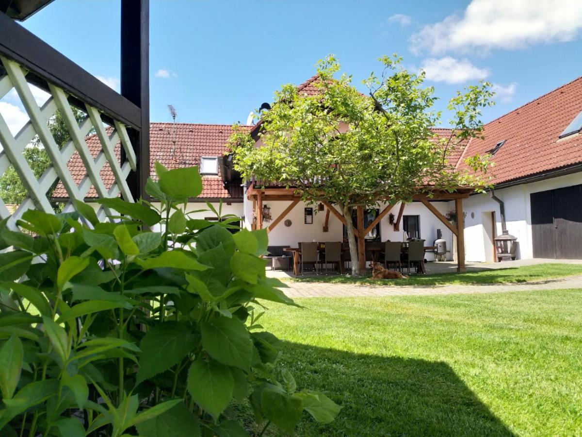 Camping & Guest House Pliskovice Mirovice 외부 사진