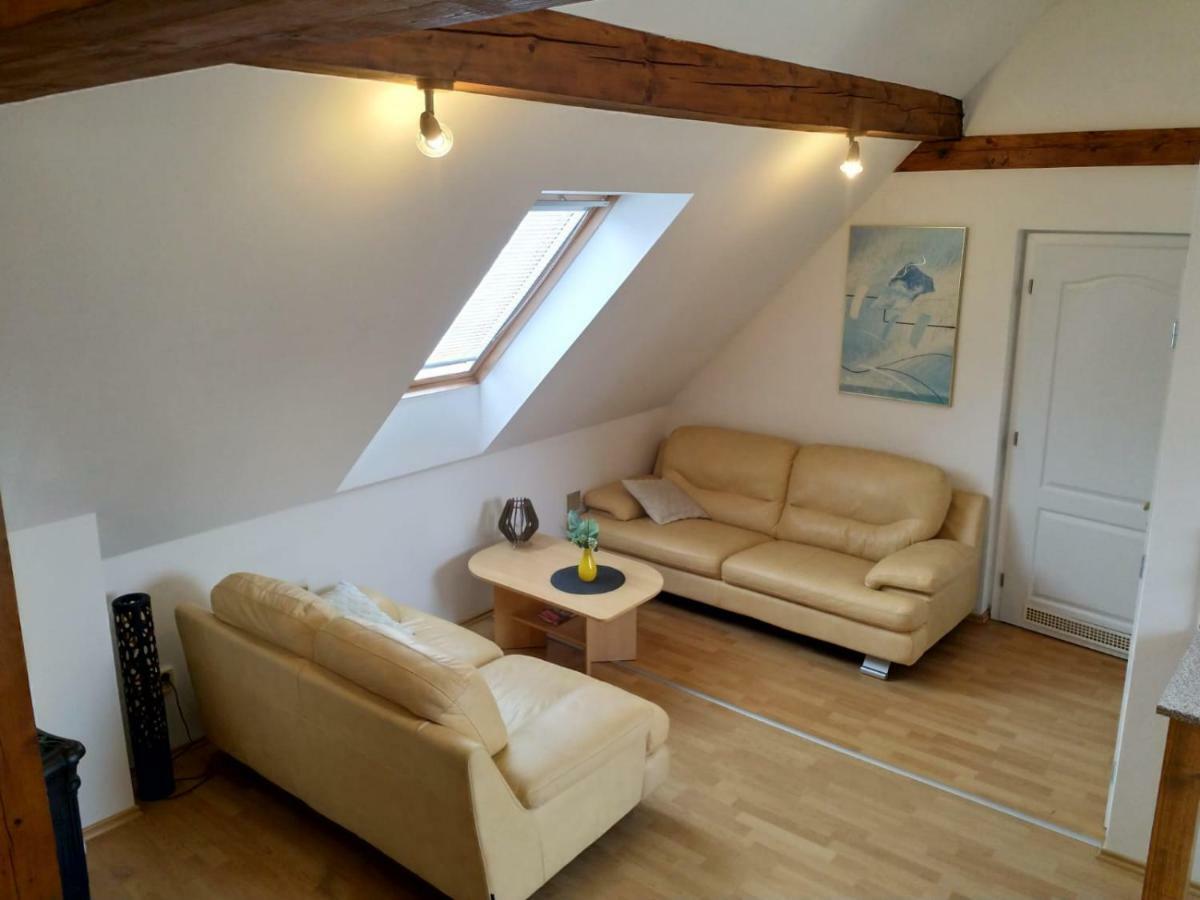 Camping & Guest House Pliskovice Mirovice 외부 사진